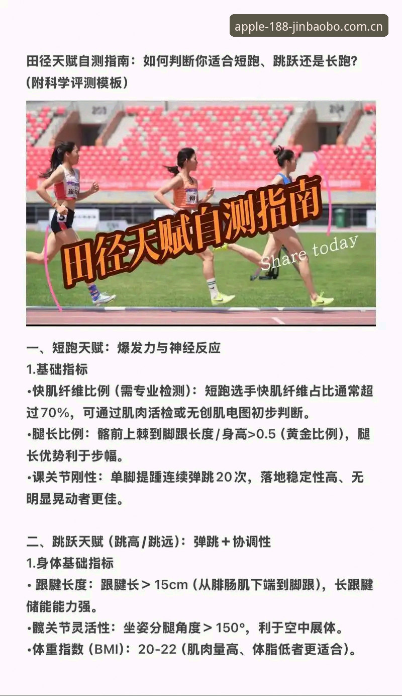 金宝搏体育玩法推荐 金宝搏体育玩法推荐详解:从技术角度评测优选方案